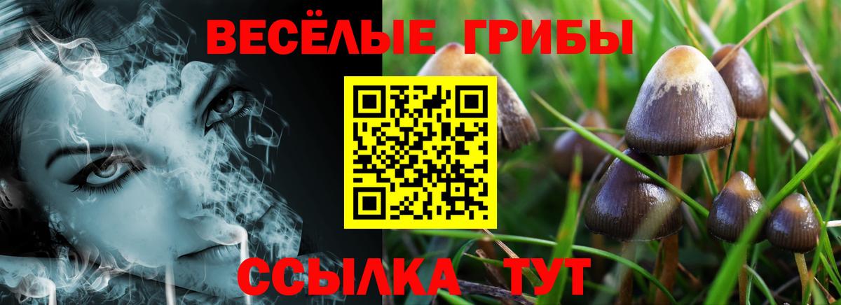 Галлюциногенные грибы мицелий  Галлюциногенные грибы ЛСД  Химки  Вход с VPN 