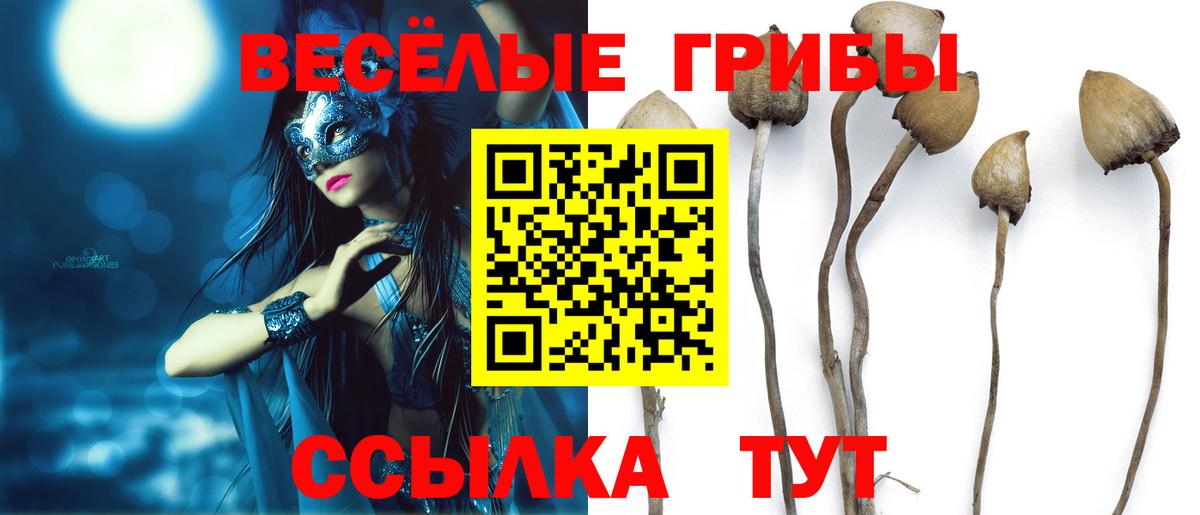 Псилоцибиновые грибы MAGIC MUSHROOMS Химки
