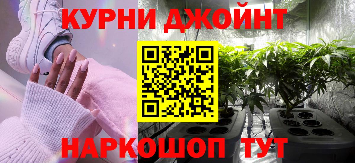 Бошки Шишки план  МАРИХУАНА конопля  Химки  Каннабис семена  Канабис VHQ  Вход с VPN 